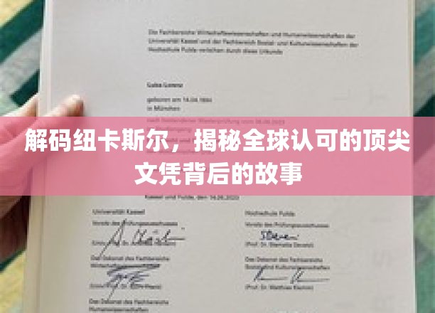探寻纽卡斯尔大学的魅力，顶尖文凭背后的传奇故事