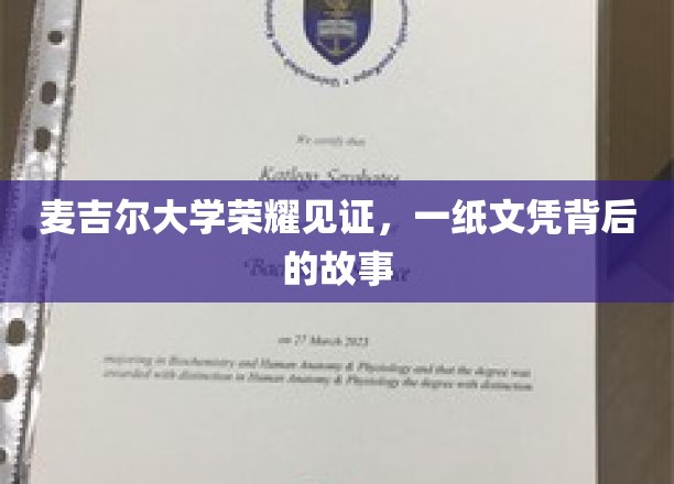 麦吉尔荣耀，探寻名校文凭背后的不凡历程