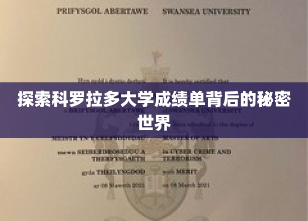 解码科罗拉多大学成绩单的神秘图景