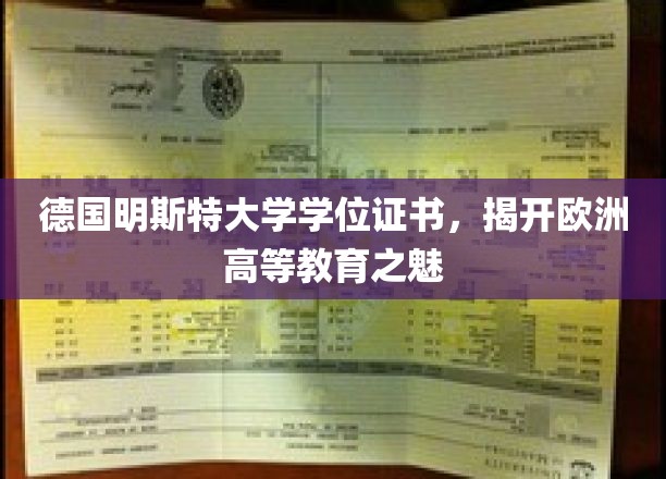 德国明斯特大学学位证书，揭开欧洲高等教育之魅