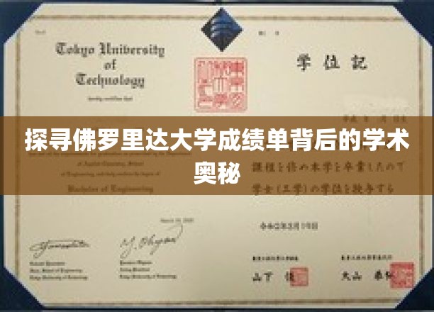 探寻佛罗里达大学成绩单背后的学术奥秘
