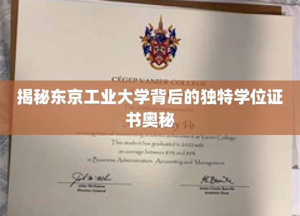 东京工业大学学位证书，揭秘其背后的独特魅力与价值