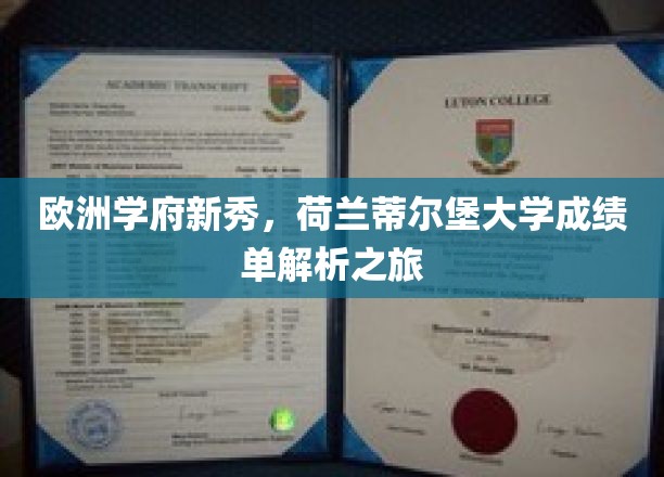 荷兰蒂尔堡大学，揭秘年轻翘楚的卓越学术成就之路