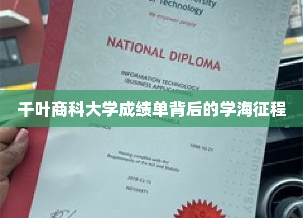 千叶商科大学成绩单背后的学海征程