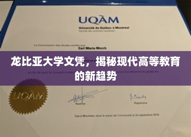 龙比亚文凭引领潮流，解码现代高等教育的未来走向