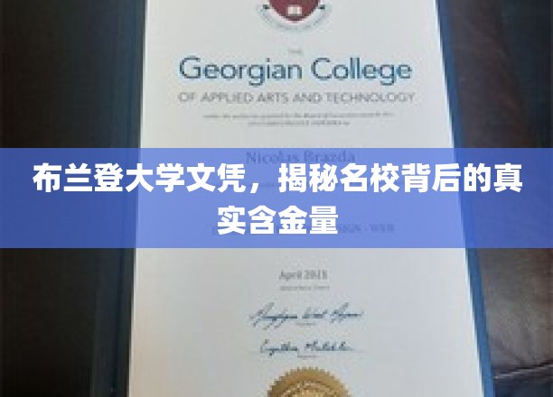 布兰登大学文凭，揭秘名校背后的真实含金量
