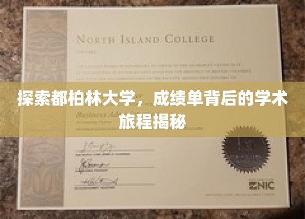 解锁都柏林大学，成绩单背后的精彩学术足迹