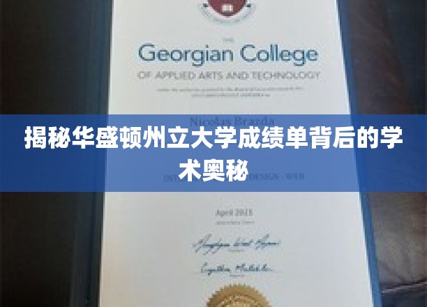 深度解析华盛顿州立大学成绩单的学术内涵