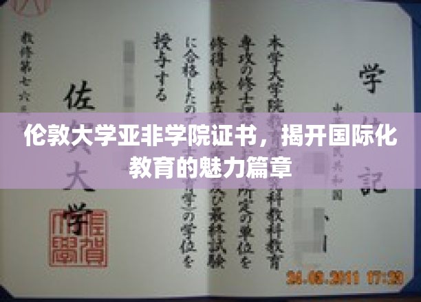 跨越国界，伦敦大学亚非学院证书见证教育全球视野