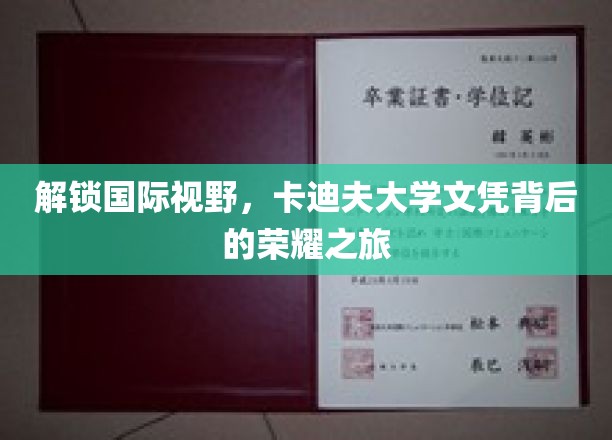 解锁国际视野，卡迪夫大学文凭背后的荣耀之旅