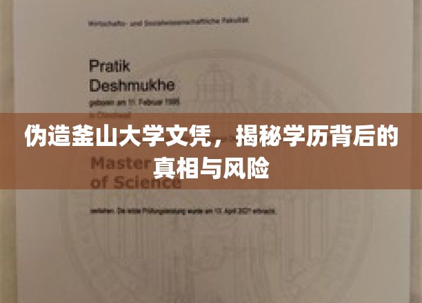 伪造釜山大学文凭，揭秘学历背后的真相与风险