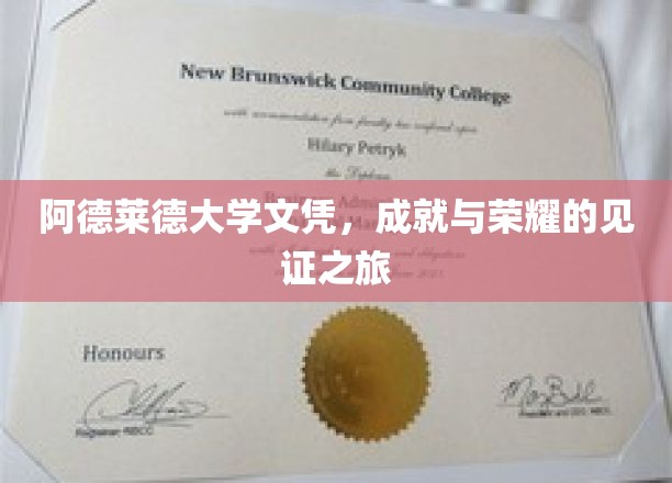 阿德莱德荣耀足迹，文凭背后的辉煌历程