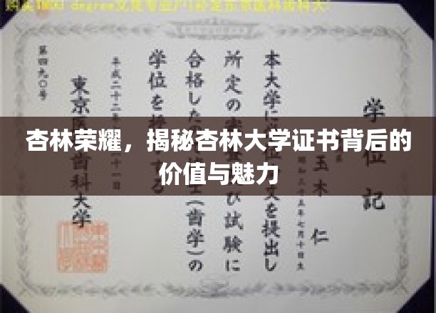 杏林辉煌，解码杏林大学证书的非凡价值与独特魅力