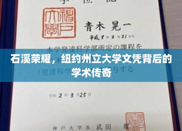石溪荣耀，纽约州立大学文凭背后的学术传奇