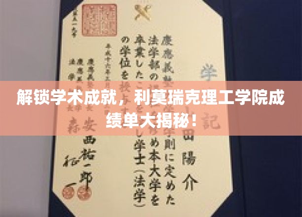 利莫瑞克理工学院学霸养成记，揭秘卓越成绩背后的秘密