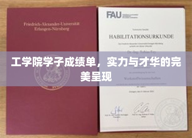 工学院学子成绩单，实力与才华的完美呈现