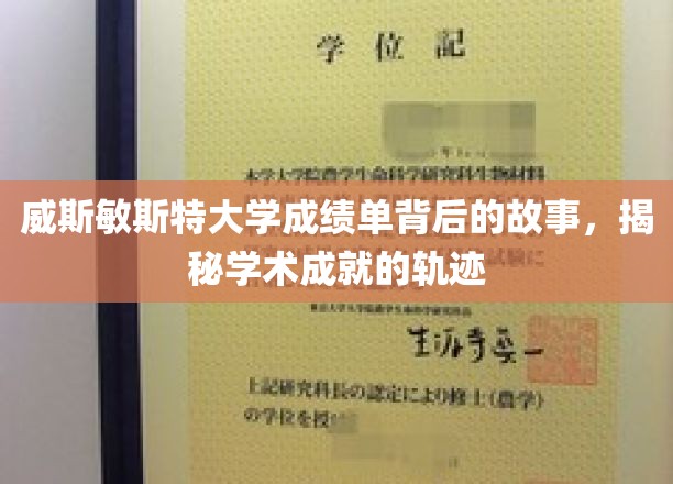 威斯敏斯特大学成绩单背后的故事，揭秘学术成就的轨迹