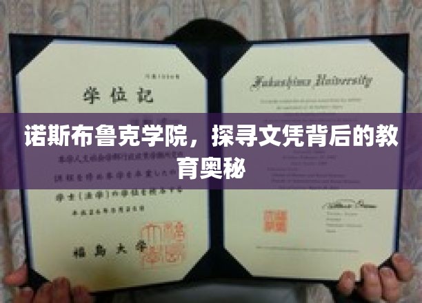 揭开诺斯布鲁克学院文凭背后的教育秘境