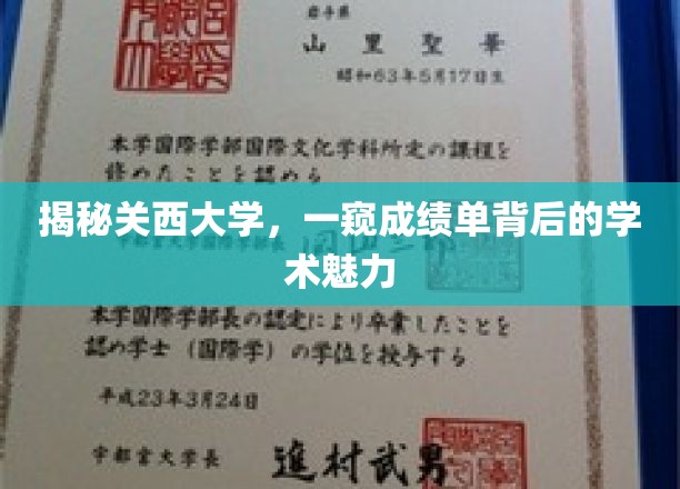 探寻关西大学奥秘，成绩单背后的学术风采