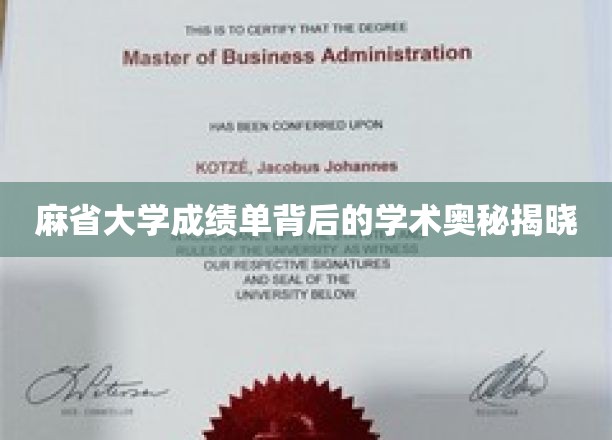 探寻麻省大学成绩单背后的神秘学术密码