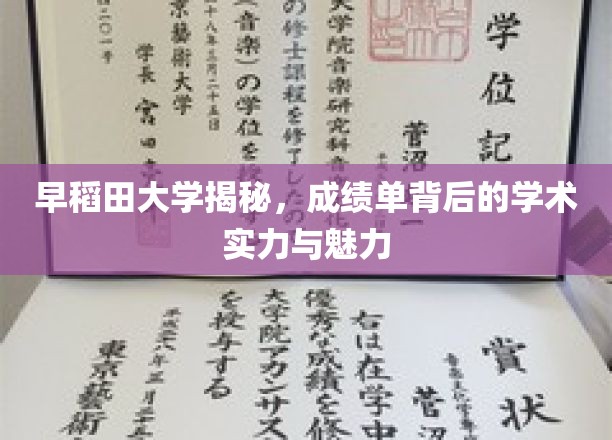早稻田大学揭秘：成绩单背后的学术实力与魅力