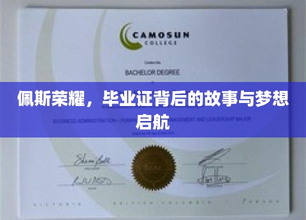 佩斯荣耀，毕业证映照下的追梦征程