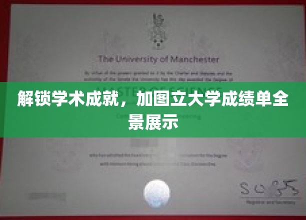 解锁学术成就，加图立大学成绩单全景展示