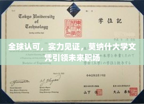国际通行证，莫纳什文凭铸就职场新篇章
