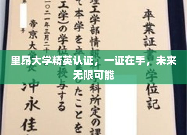 掌握里昂精英通行证，解锁无限职业新境界！