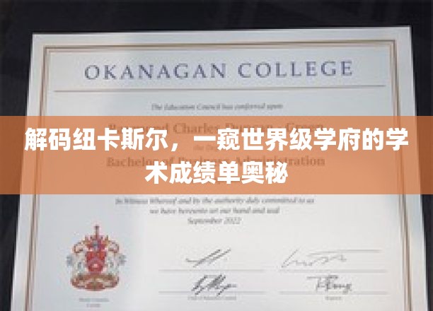 揭开纽卡斯尔大学学术成就的神秘面纱