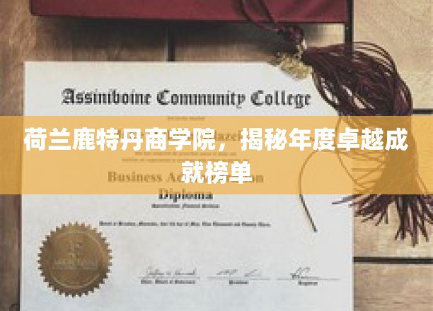 鹿特丹商学院年度荣耀榜，谁是行业领航者？