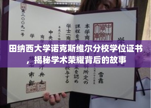 探寻田纳西大学荣耀学位背后的真实传奇