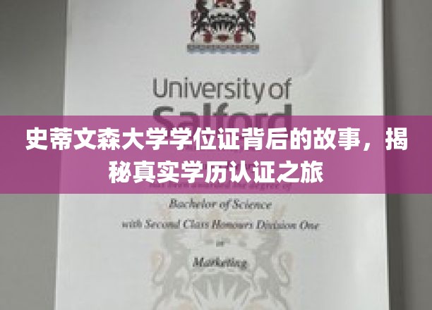 探寻史蒂文森大学学位证的奥秘，一场学历认证的深度揭秘之旅