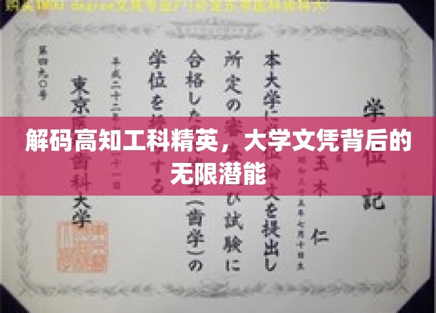 解码高知工科精英，大学文凭背后的无限潜能