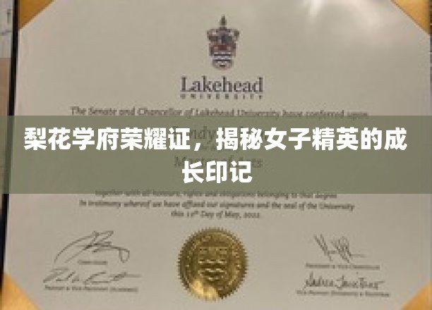 梨花绽放映才女，揭秘学府精英育成记