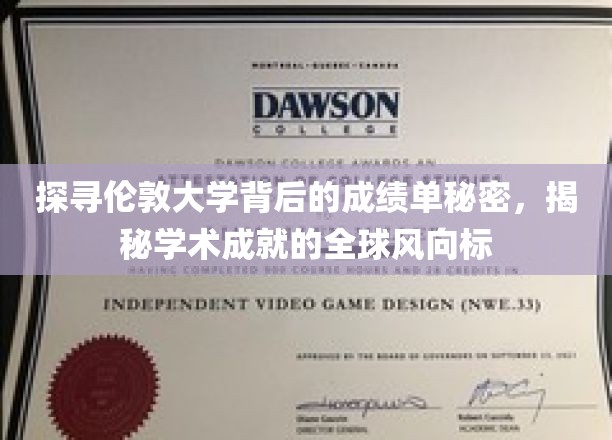 探寻伦敦大学背后的成绩单秘密，揭秘学术成就的全球风向标