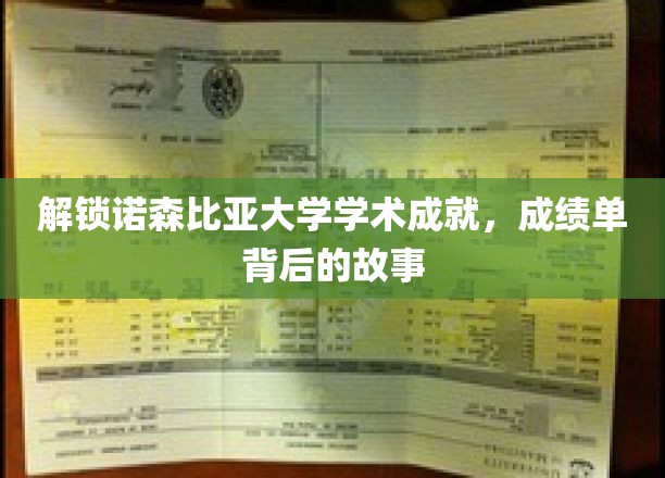 探寻诺森比亚大学学术荣耀，揭开优异成绩背后的传奇篇章