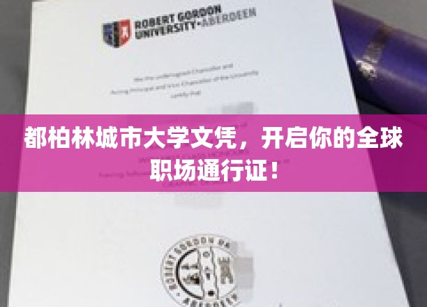 都柏林城市大学文凭，解锁国际职场新天地！