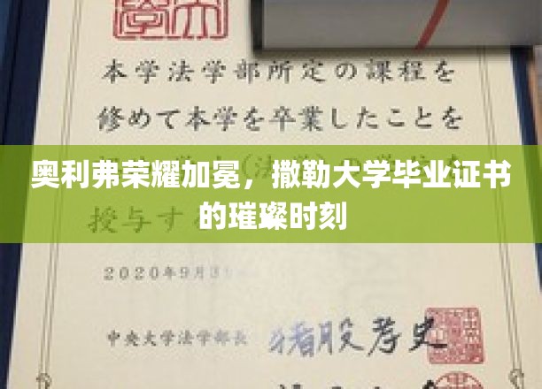 撒勒大学荣耀盛典，奥利弗璀璨毕业时刻见证荣耀加冕