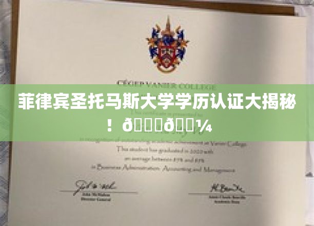 解码菲律宾圣托马斯大学学历真伪，揭秘全球认可的学术之旅🌍📚