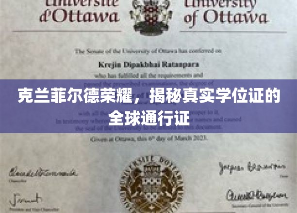 克兰菲尔德学位传奇，揭秘国际认可的学术通行证
