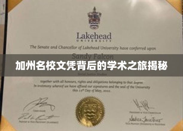 解码加州名校，学子们的学术征途与荣耀之路