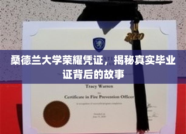 探寻桑德兰大学荣耀凭证，毕业证背后的传奇历程