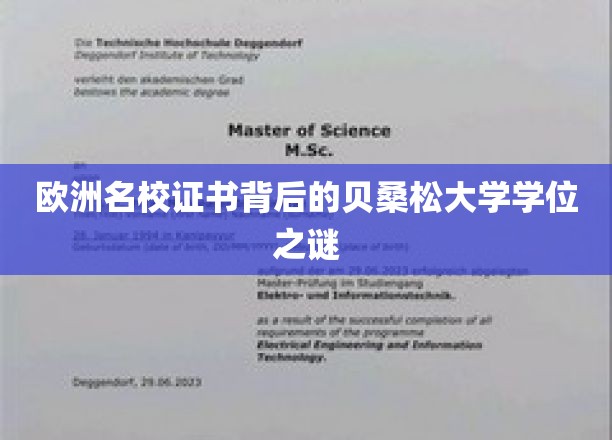 揭开欧洲名校证书背后的贝桑松大学学位奥秘