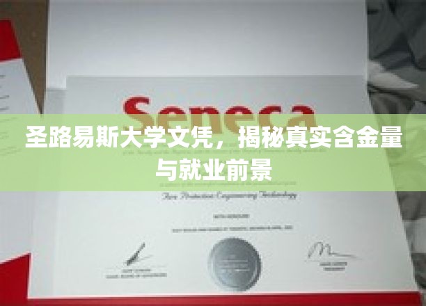 圣路易斯大学文凭，揭秘真实含金量与就业前景