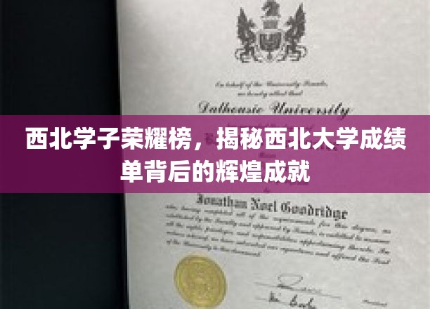 西北骄子璀璨星河，探寻西北大学学子非凡成绩背后的传奇故事