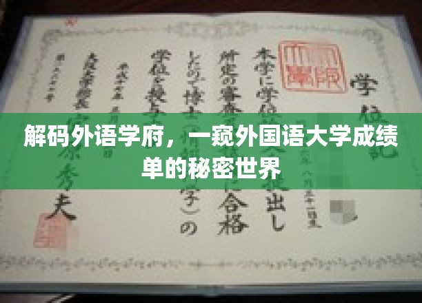 解码外语学府，一窥外国语大学成绩单的秘密世界