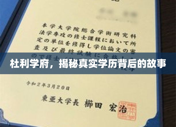 杜利学府，揭秘真实学历背后的故事