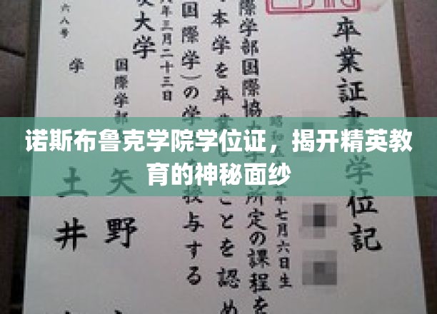 揭开精英教育之谜，诺斯布鲁克学院学位证背后的传奇