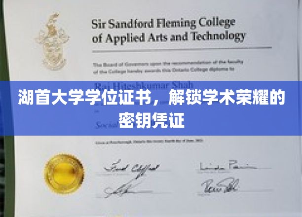 湖首大学学位证书，开启学术巅峰的荣耀通行证